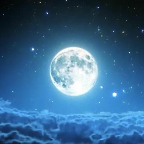 دلت تنگه واسه قبلا میگی بسه باشه برگرد