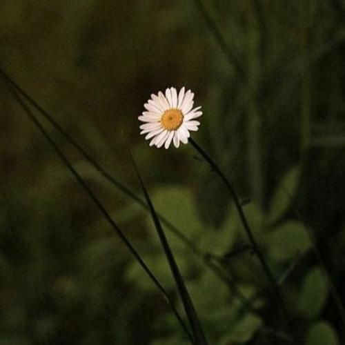  من تمام روزای عمرمو از تو میگیرم تو کی هستی که اگه بگی