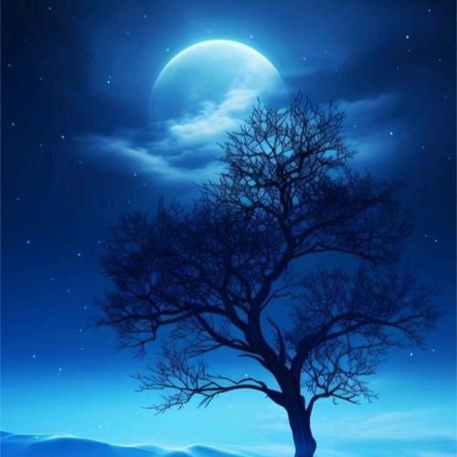  دلم بد جوری تنگ شده برات اولین نفر بود که با موزیکام حال میکرد