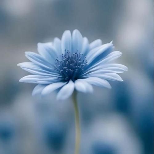 تهدیدم نکن که میکشی تیغ روی دستات میکشی جیغ