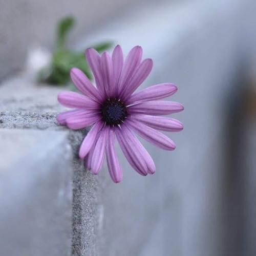  اخه میدونی من با اون هیچی کم نداشتم با صدای دختر اینستایی