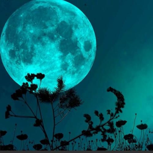 درد و بلات غصه هات به جونم نزار بیشتر از این چشم به ورژن اینستایی