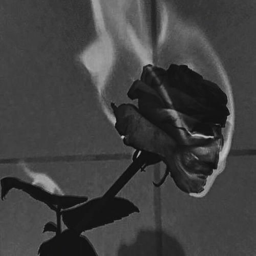 میدونیم واقعا باید اعتماد کنم به کی نه تورو جدی گرفتم