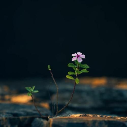  اگه داده ی ذهنم بودی مینداختمت