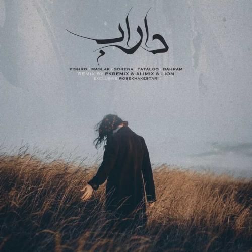 پی کی ریمیکس و علی میکس داراب