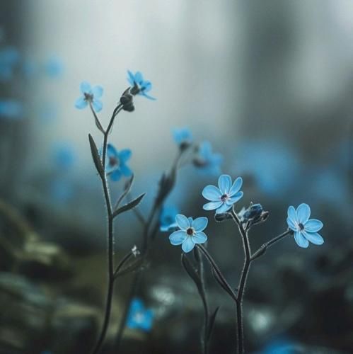  اودین اگه سرد بود براتو برو دلت از دور بشه تنگ