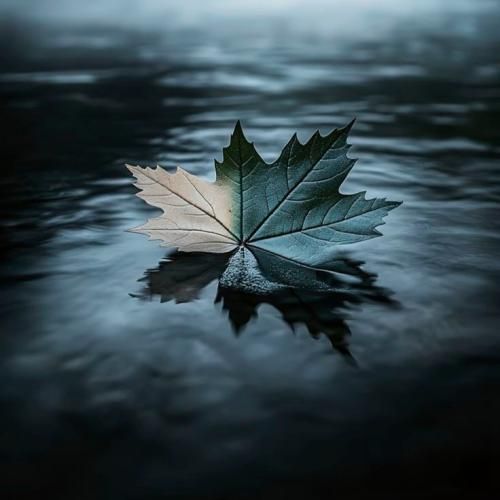  نگو قلبت کجاست که دیگه توی اون جات نیستش