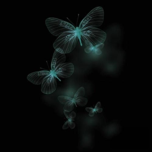 خارجی گفتی شبیه اون نیستی بدتر از اون شدی با صدای دختر