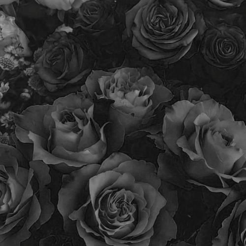  ای کاش تو بازم بکنی قلبمو پیداش دل من یخ زده