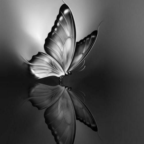  پارتی پر از مدل پدل این داداشام کوزی گونی