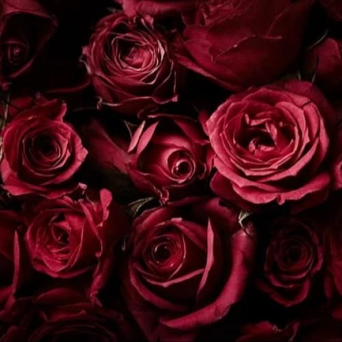  از خواب شیرین ناگه پریدم دیگر ندیدم