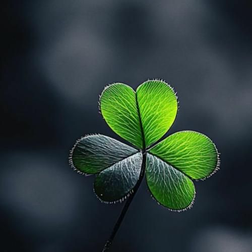  من هر روز پر دردم هیچ مسکنی آرامبخش نیست