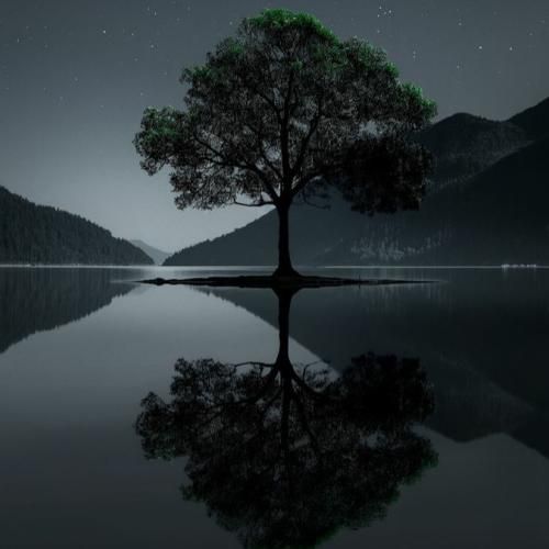 آرتور ریمیکس ویرانه