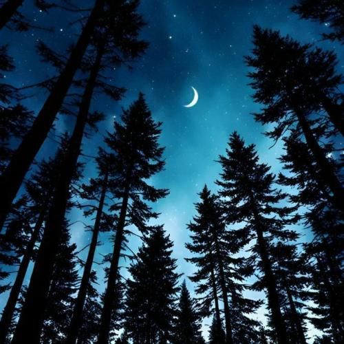 آریانا سعید چشم پیاله