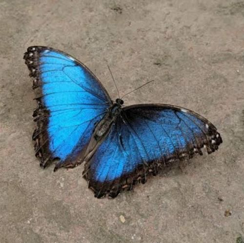 کاش میشد بمونه اون حال خوبمون