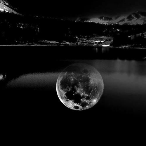 بدونم کسیو میخوای میکنم ولت دیگه حرفی نیست همین یه سوالو