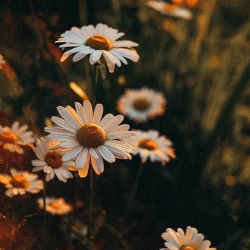  تورو میخوامت می تو بیبی دارم تورو نیازت