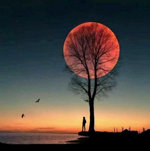  زیبای خفته میبوسمت وقتی خوابی