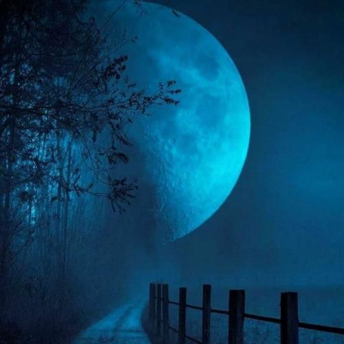  به رزی به رزی شه مامه و سه ری ته رزی