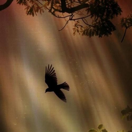 حالا بگو کی دیگه اخماتو میگیره با تو میخنده