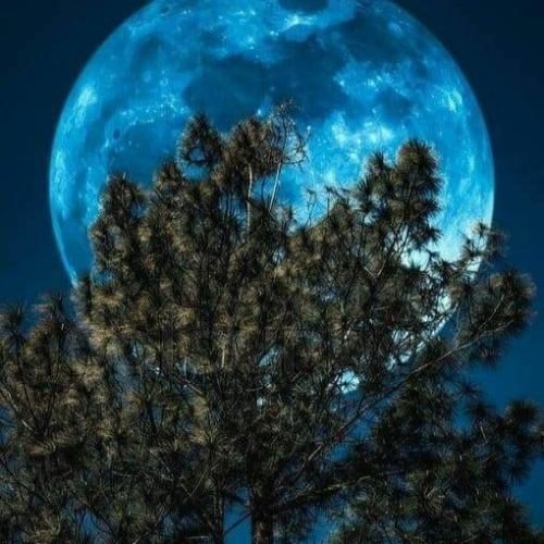 من اگه عاشق تو شدمو واسه تو مردم گوه خوردم