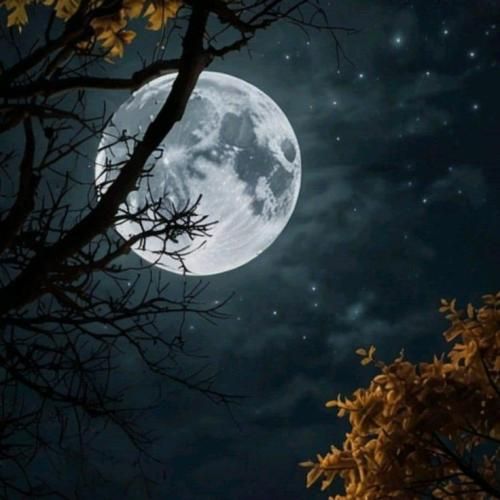 من مثل خار گلی در پس هر باد نگهبان تو بودم