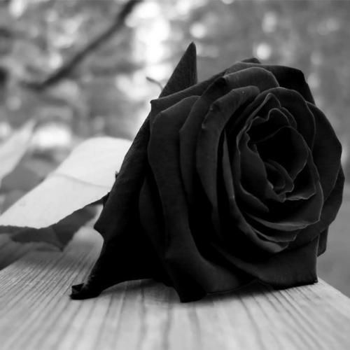  کف ته پشت فرمون دنبالم مامور دیگه نمونده استرس