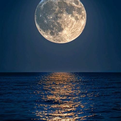 Alan Walker Who I Am