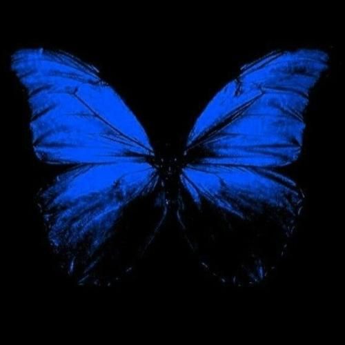 سایا مثل قبل