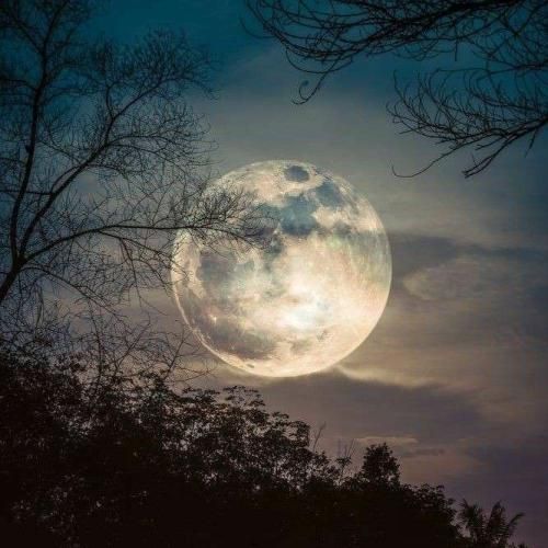 شبیه تورو ندیدم که بهم بگه عزیزم با صدای پسر اینستایی