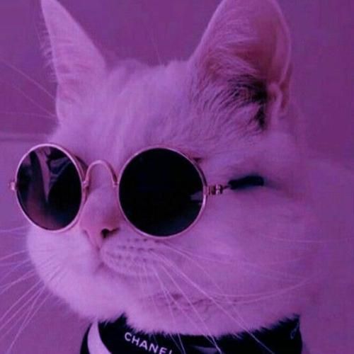 من خودمو بستم به فوش و مردم برو دیگه نبینمت برو گمشو