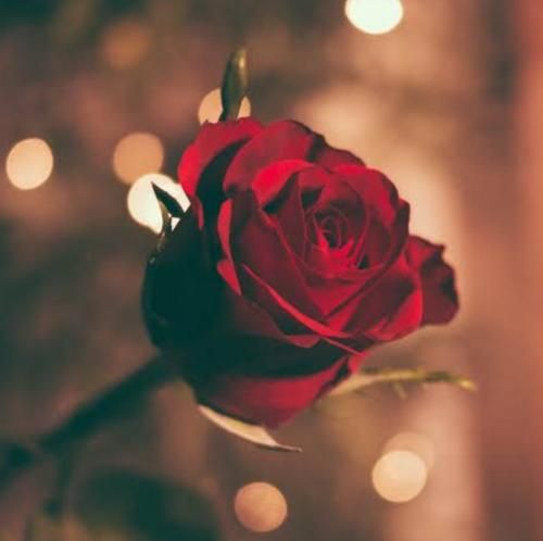 هوچی گری کارته تو آخر خطی ملتفت دایره