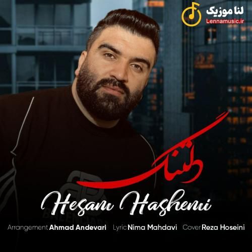 حسام هاشمی دلتنگ