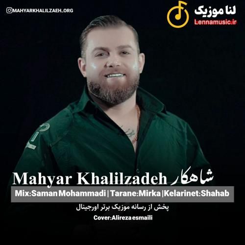 مهیار خلیل زاده شاهکار