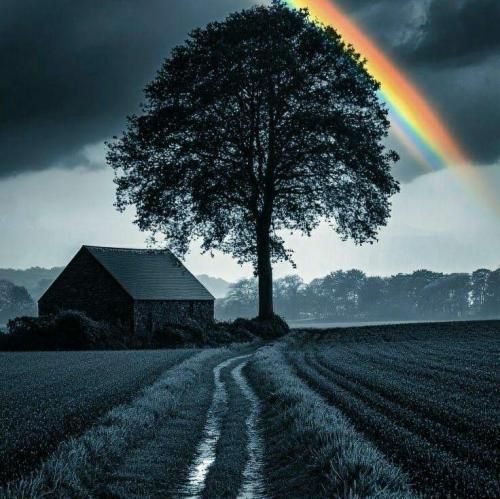 نمیتونم اصلا خوب باشم اگه روحامون از هم دور باشن