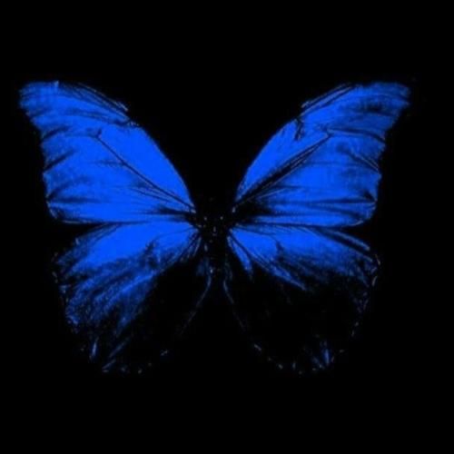 آدما رحم ندارن بدتر از سگ های هار تو هم که بی رحم شدی