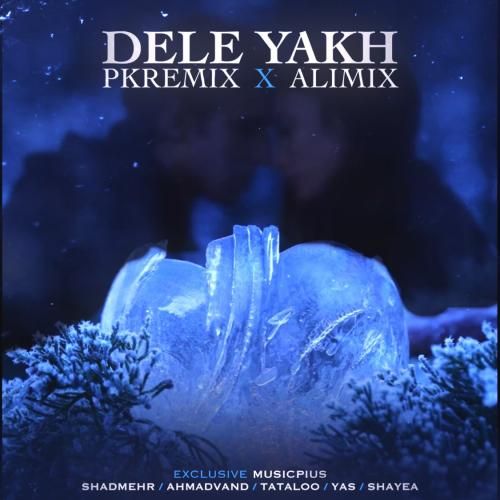 پی کی ریمیکس و علی میکس دل یخ