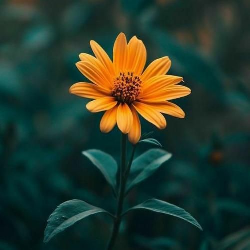 این گوشه کنارا تو سکوت نشستیمو نظاره گر