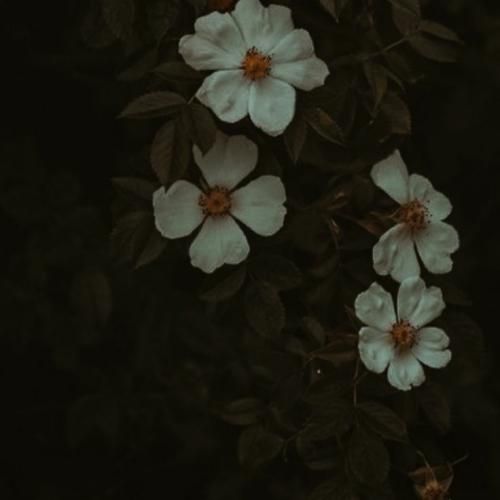 افکارمون پره هرج و مرجن حتی نداریم انتخاب بین بد و