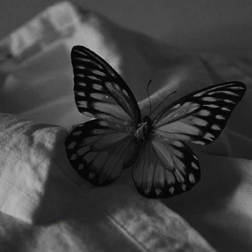 افغانی گذشت عمرم به خاری و به زاری مادر جان تو خبر داری