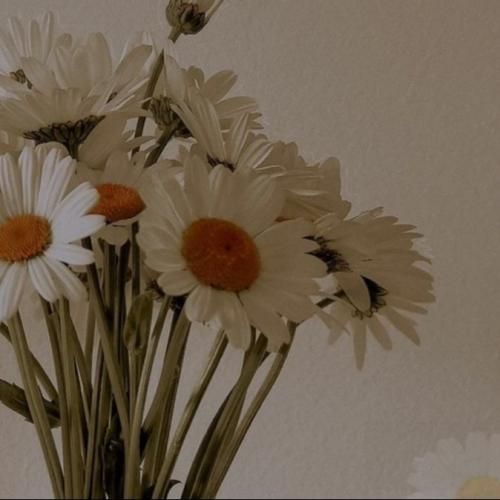 آدم دوست داره جهانو ول کنه تورو نگات کنه