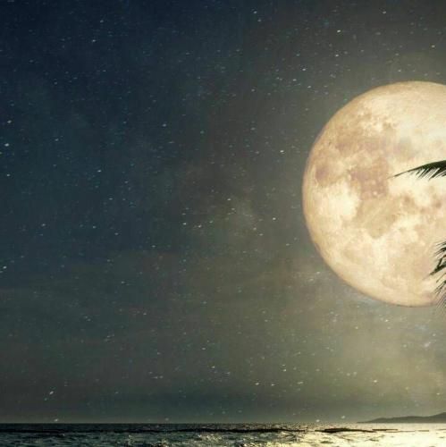 فقط همین یه امشبو مال من باش برقصیم لای ابرا