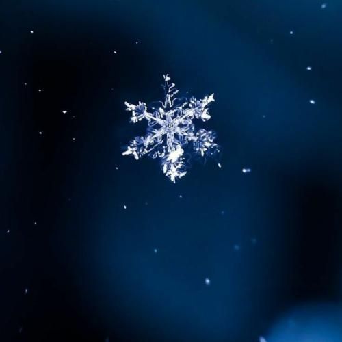 لری مال گل بار کرد ره با صدای پسر اینستایی