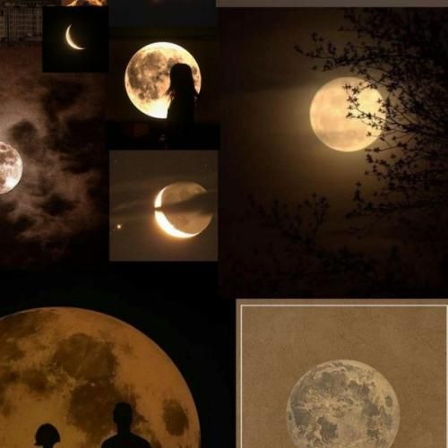 پنج تا ماشین پلیس هستن دم در شب اجرام که بکسم نخوان رد بدن یه وقت