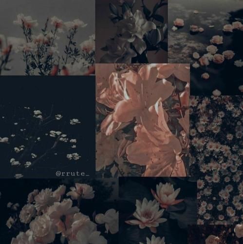 علی میکس و پی کی ریمیکس حصله عاشقی ندارم