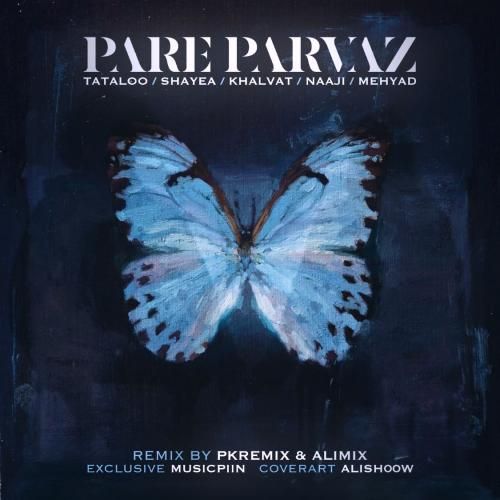 علی میکس و پی کی ریمیکس پر پرواز