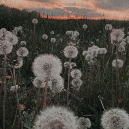 خارجی روز های آفتابی یک مکان زیبا صورت خندونت رو میبینم