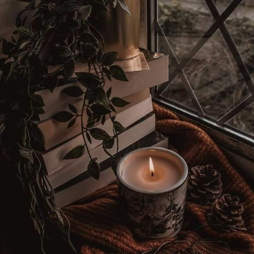 تراست کنی که باختی باید کار کنی هیچ شانسی نی