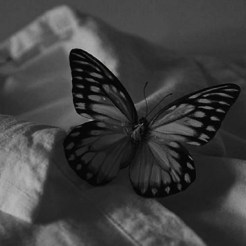  ازت بس هی ضربه خوردم هزار جای قلبم شکسته هوش مصنوعی