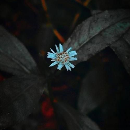  برام آسمونه زیر زمین هنوز قلبمون میزنه بی دلیل بدجور